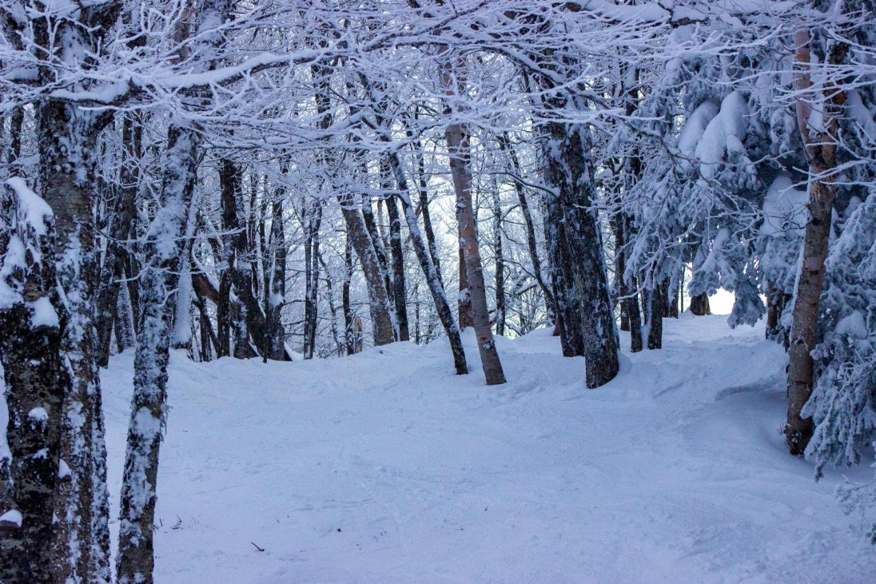 Smugglers' Notch Resort Private Suites Cambridge Eksteriør bilde
