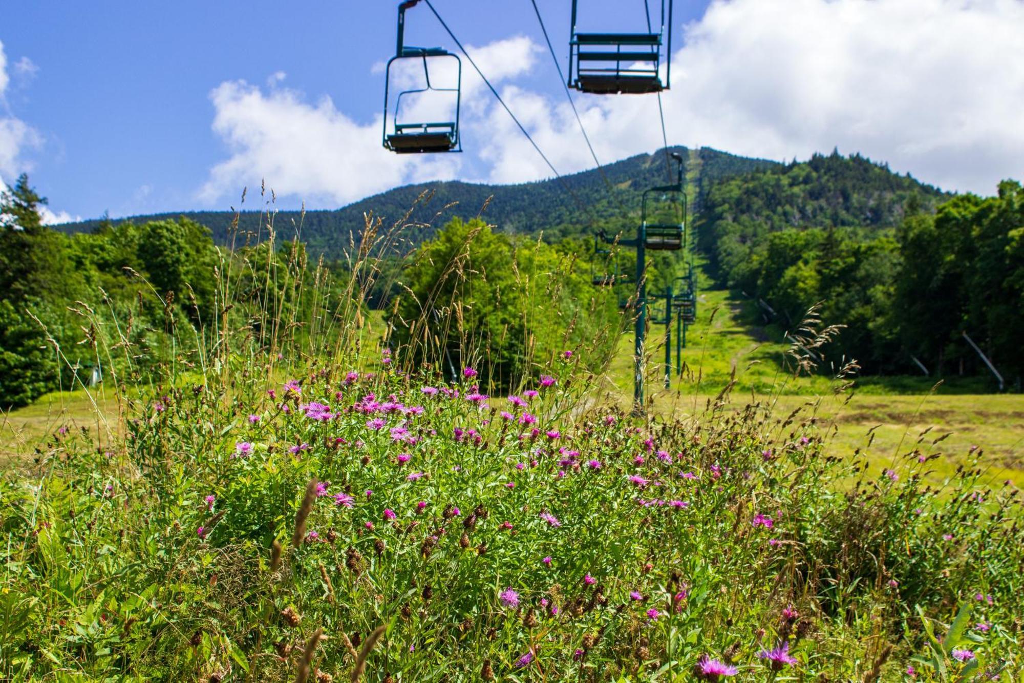 Smugglers' Notch Resort Private Suites Cambridge Eksteriør bilde